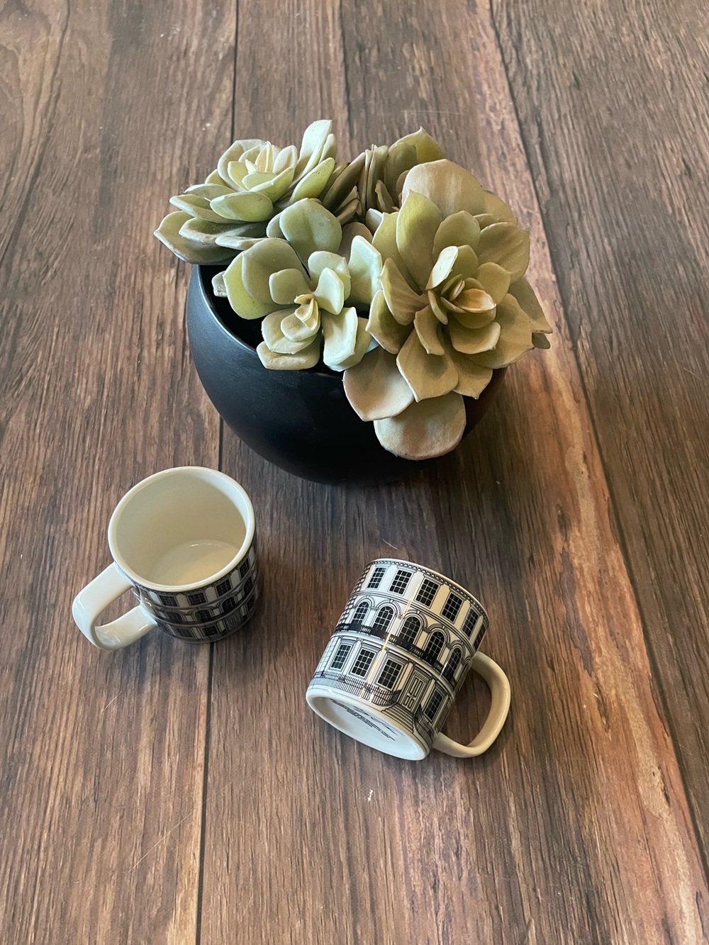 Rory Dobner × Williams Sonoma City Espresso Cups